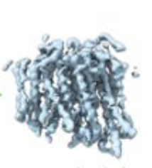 A Generative Foundation Model for Cryo-EM Densities